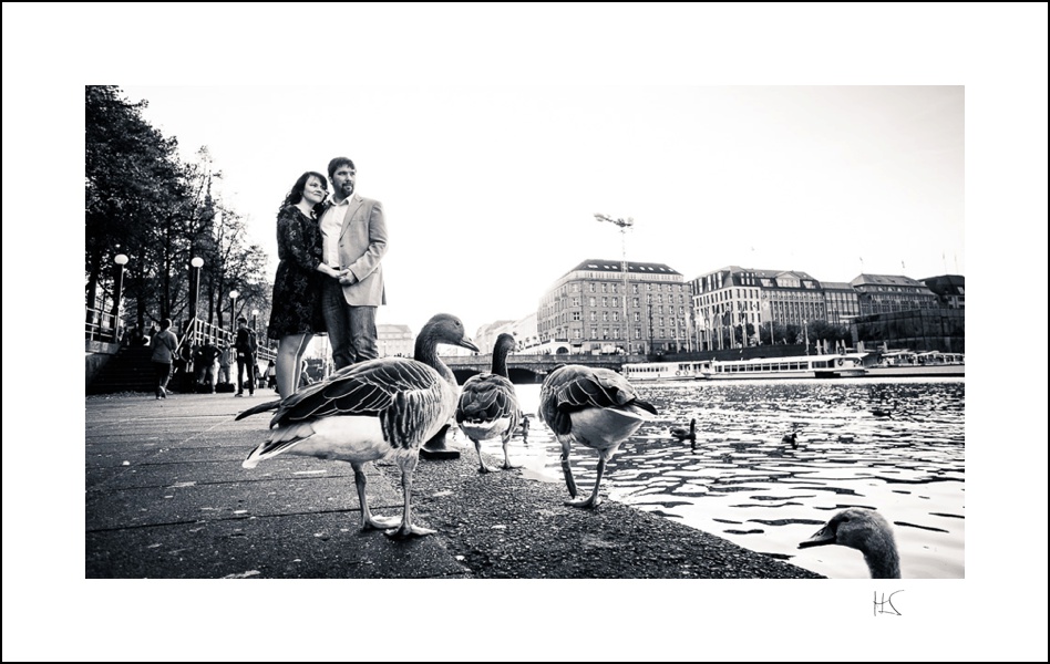 Enten hautnah beim Paarshooting an der Alster