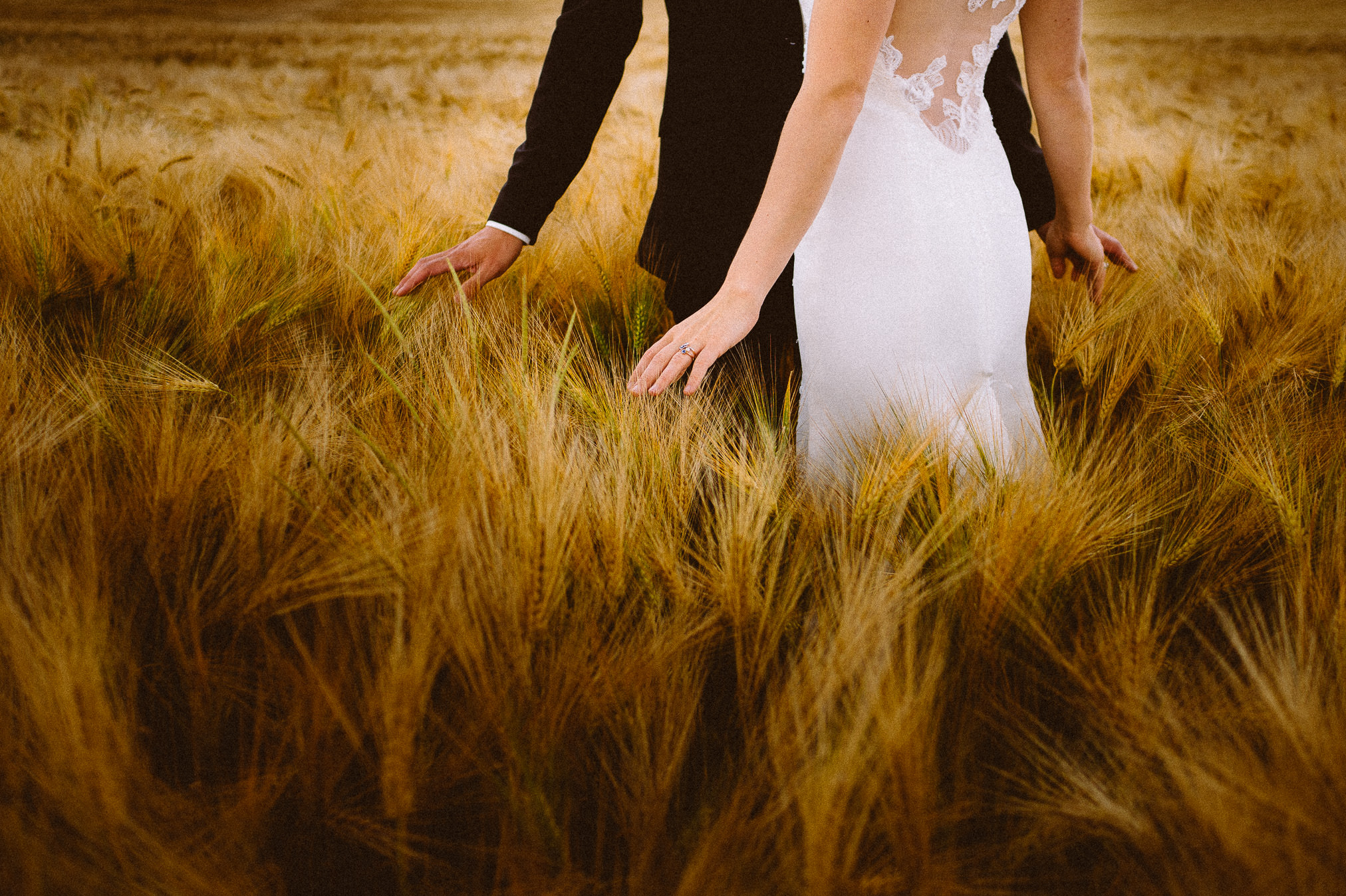 Braut und Bräutigam im Kornfeld fotografiert vom Hochzeitsfotografen Hamburg