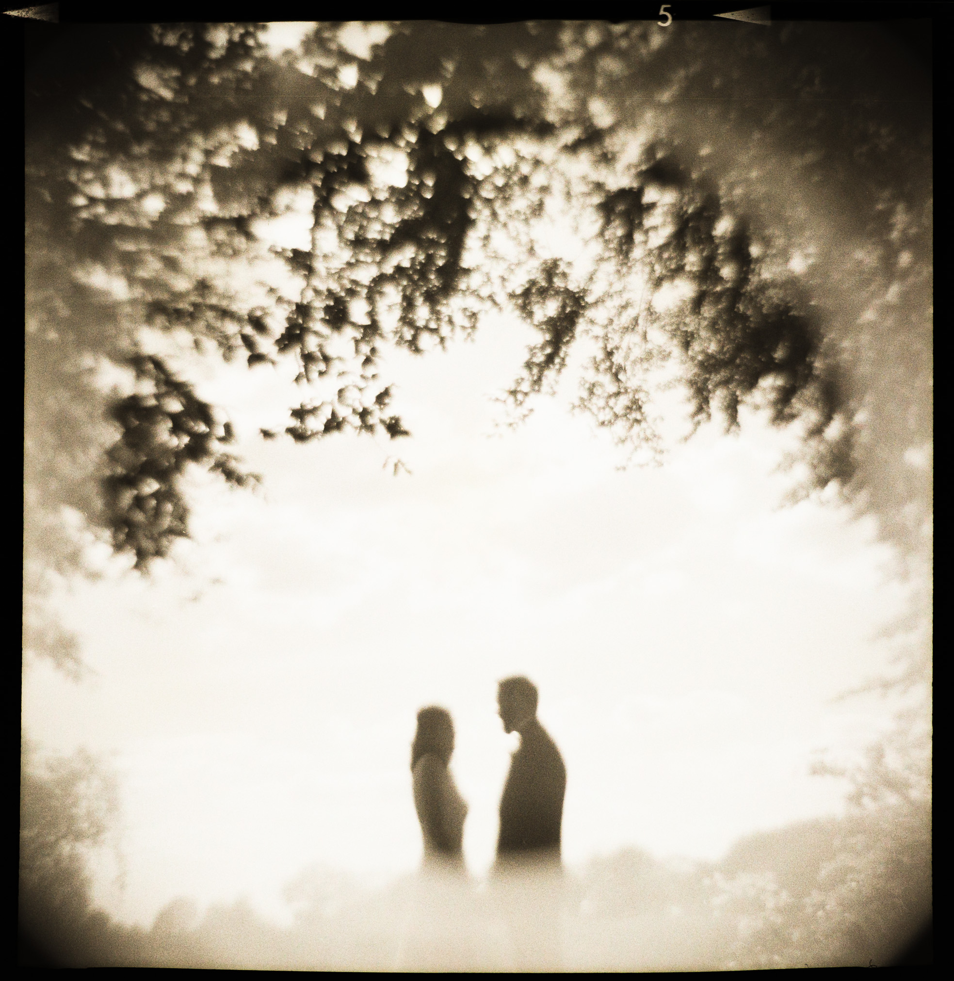 analoger Hochzeitsfotograf Hamburg